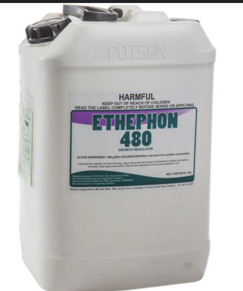 Ethephon plant growth regulator bottles and field use