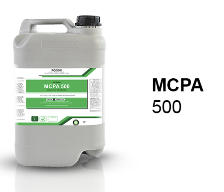 MCPA 500 g/L SL – selective herbicide for cereals and pasture