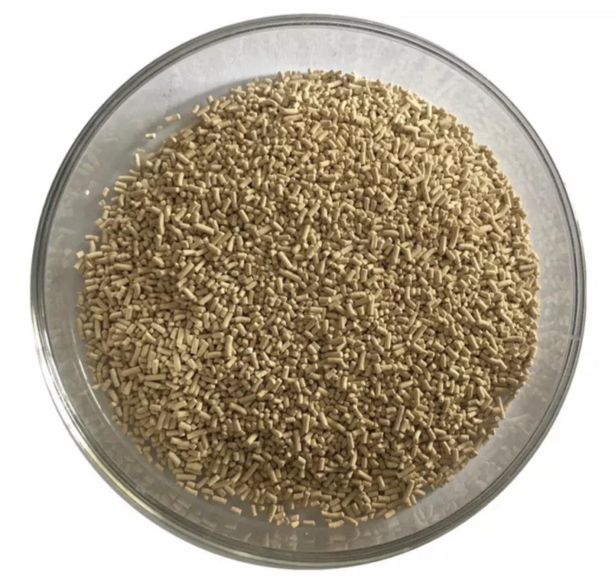 Treated seed