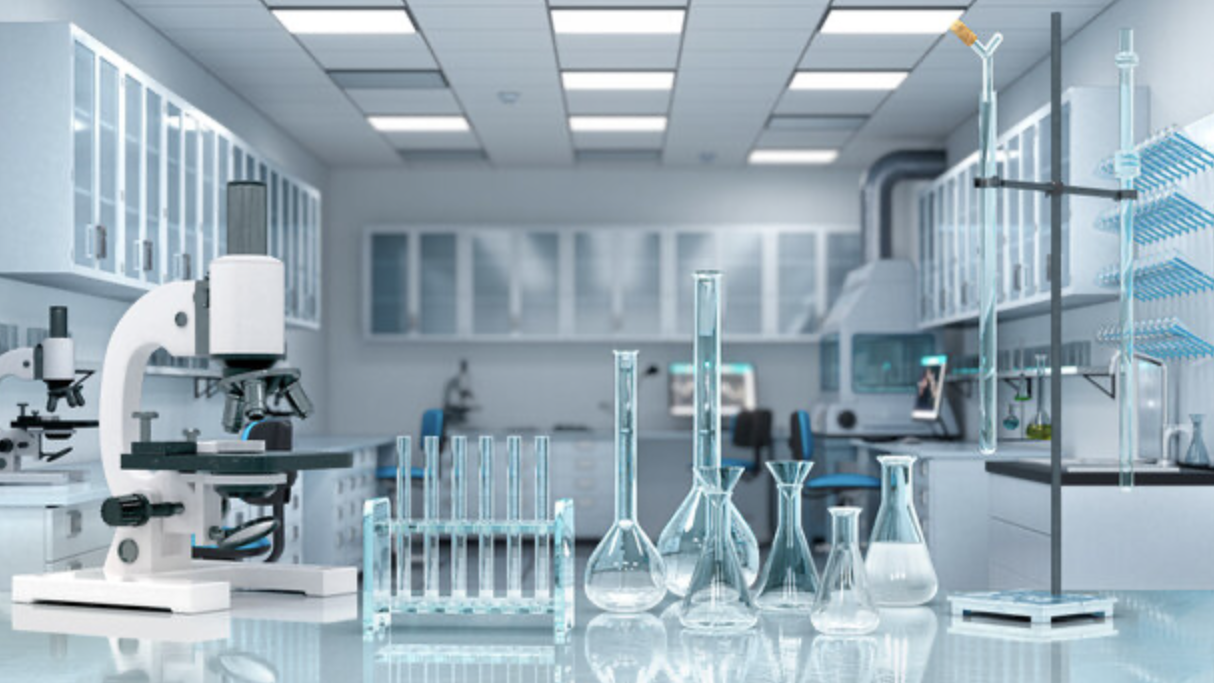 Ramen / instant soups